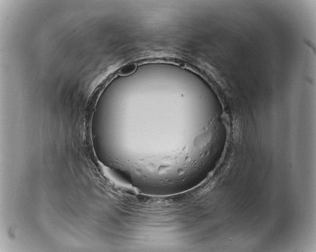 X0000100421165200806131052