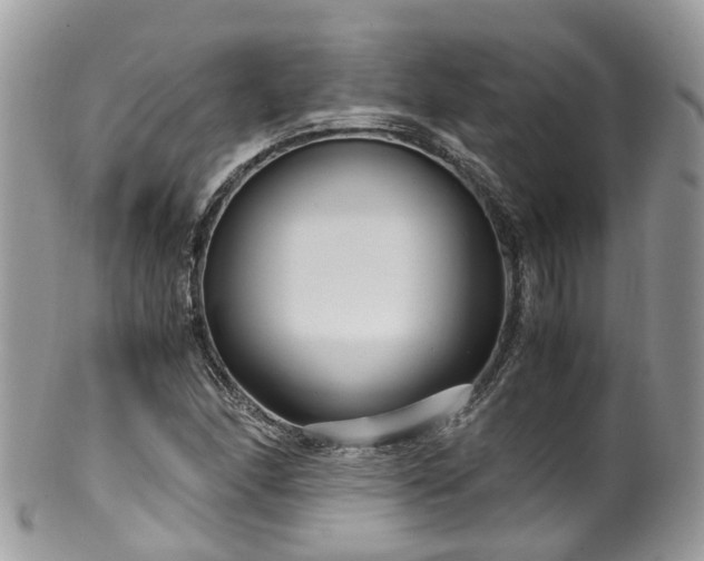 X0000100421166200806131052