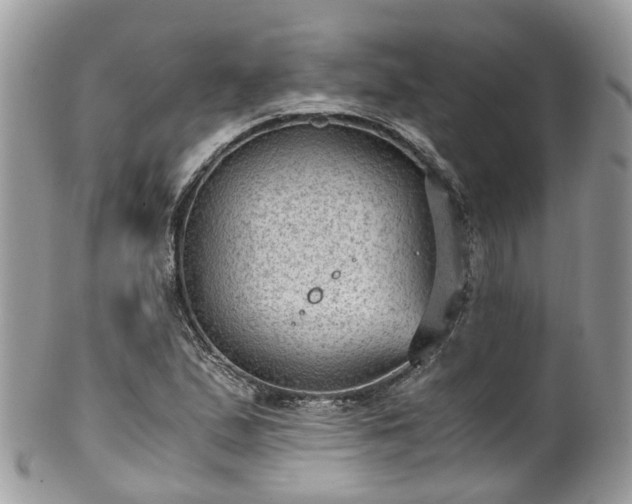 X0000100421167200806131052