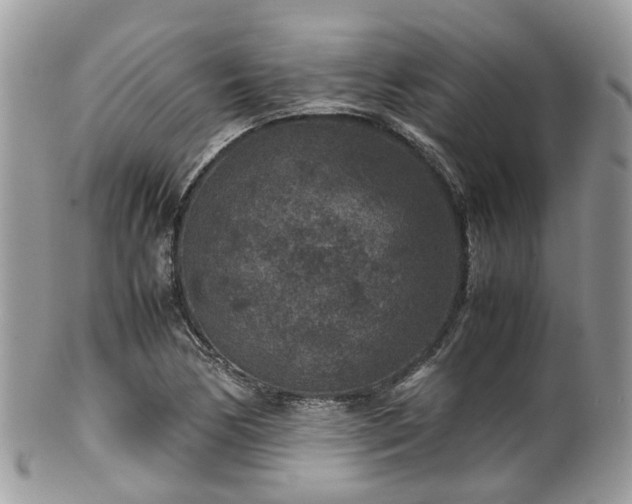 X0000100421170200806131052