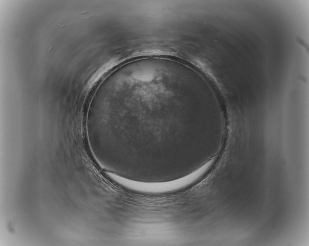 X0000100421173200806131052