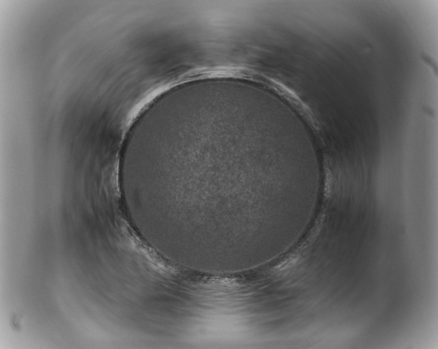 X0000100421174200806131052