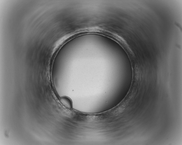 X0000100421176200806131052