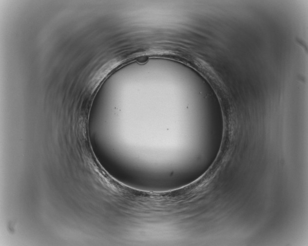 X0000100421177200806131052