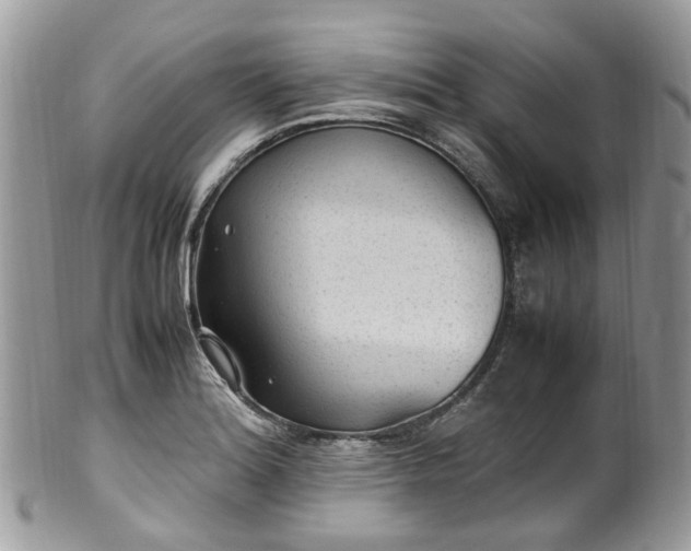 X0000100421180200806131052
