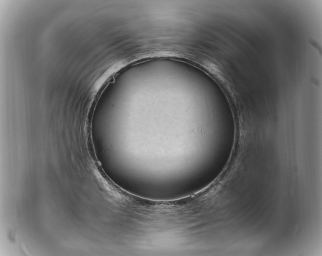 X0000100421181200806131052