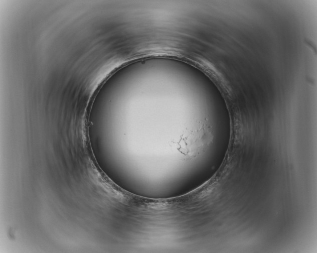 X0000100421182200806131052