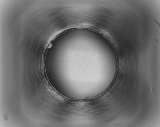 X0000100421184200806131052