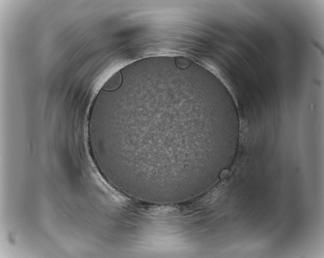 X0000100421187200806131052