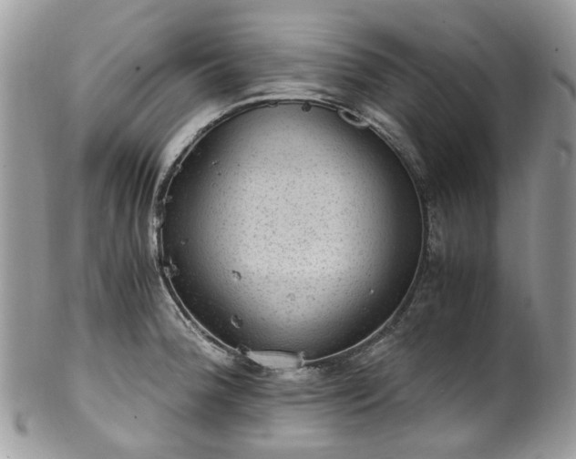 X0000100421188200806131052