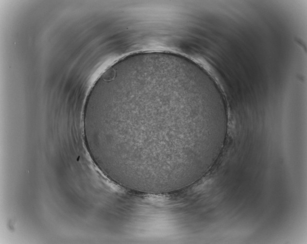 X0000100421191200806131052