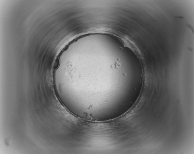 X0000100421192200806131052