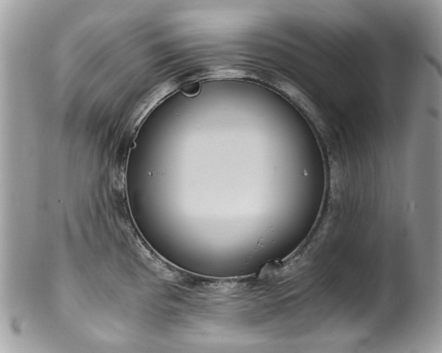 X0000100421193200806131052