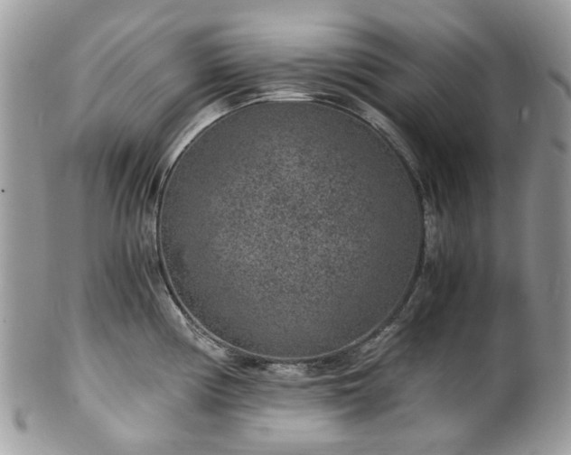 X0000100421194200806131052