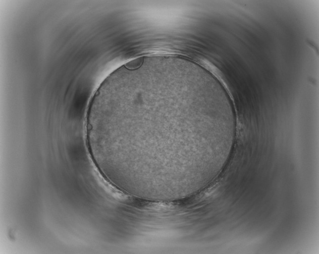 X0000100421195200806131052