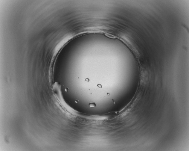 X0000100421196200806131052