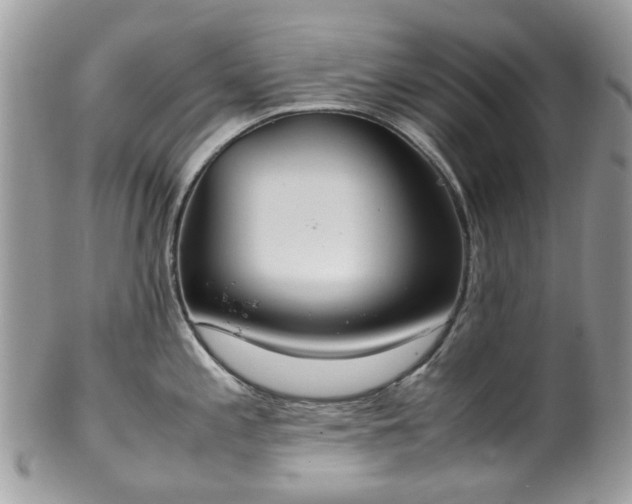 X0000100421197200806131052