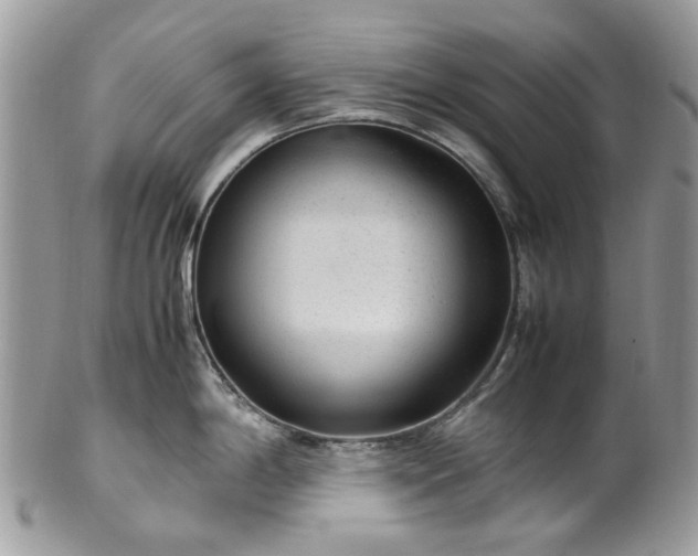 X0000100421198200806131052