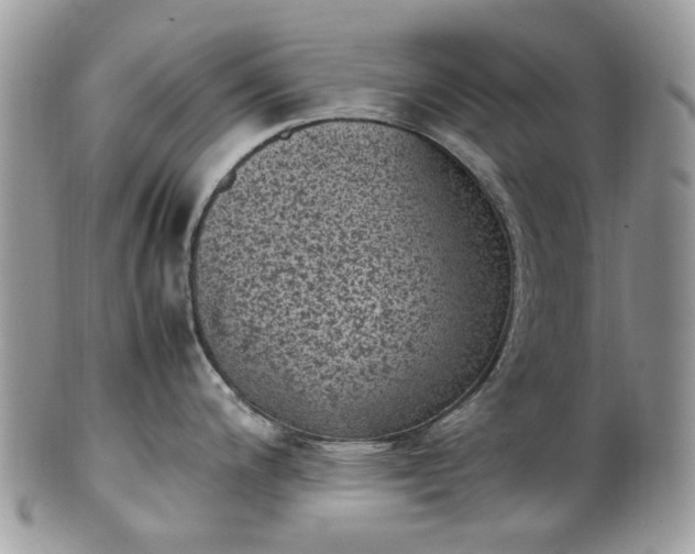 X0000100421200200806131052