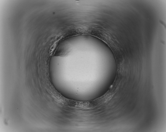 X0000100421201200806131051