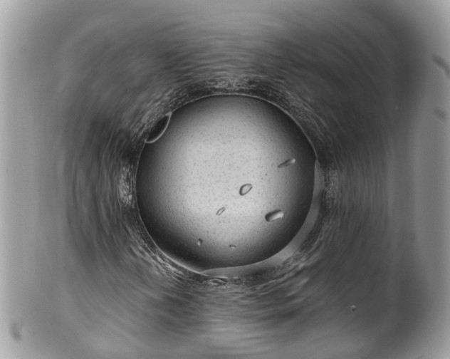 X0000100421202200806131051