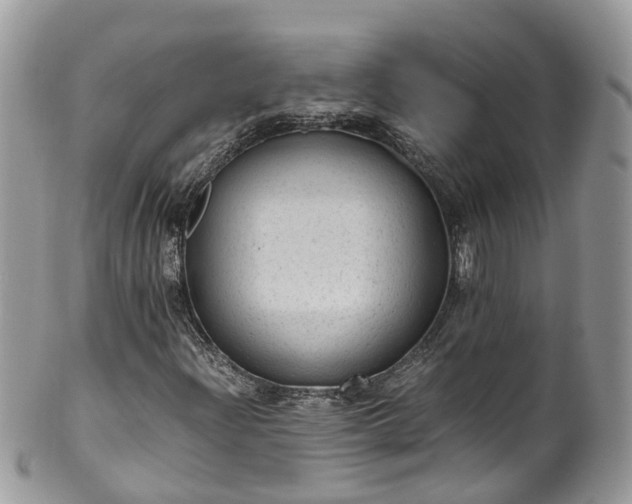 X0000100421204200806131051