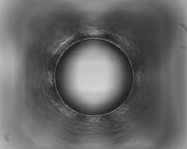 X0000100421205200806131051