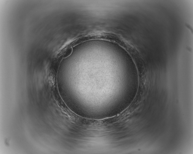 X0000100421206200806131051
