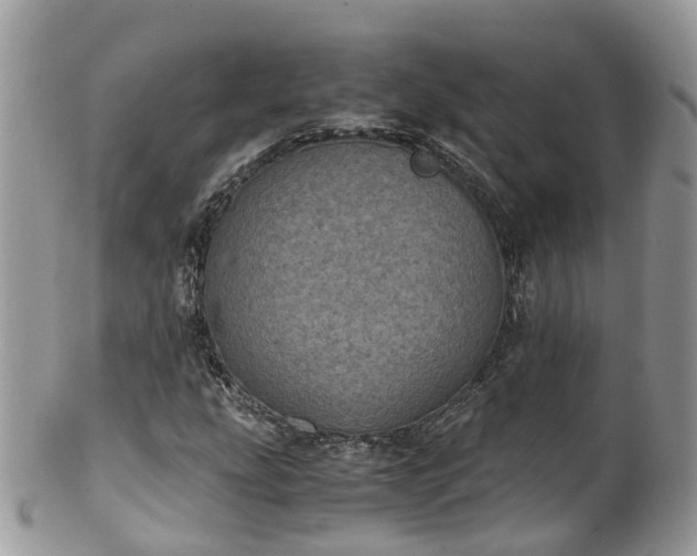 X0000100421207200806131051