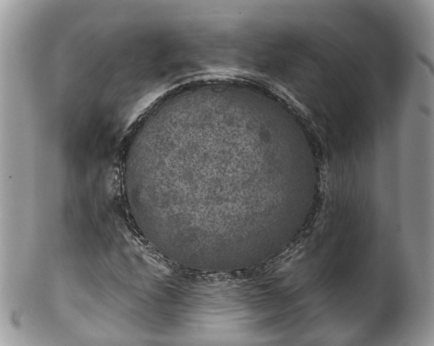 X0000100421208200806131051