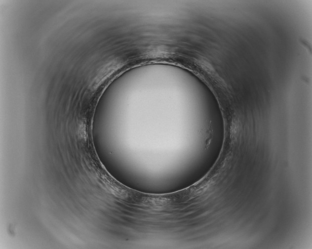 X0000100421209200806131051