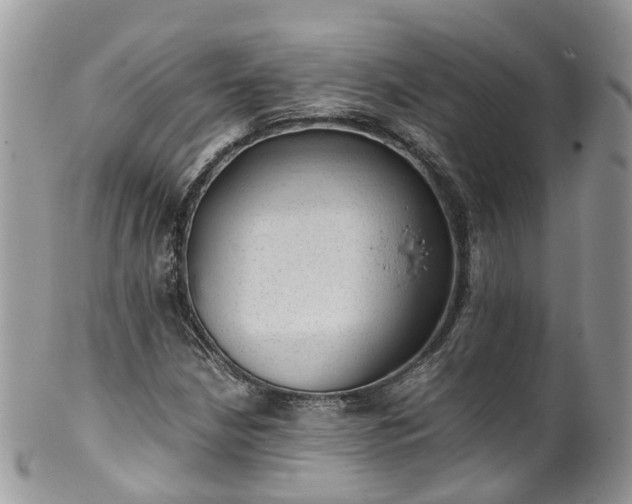 X0000100421210200806131051