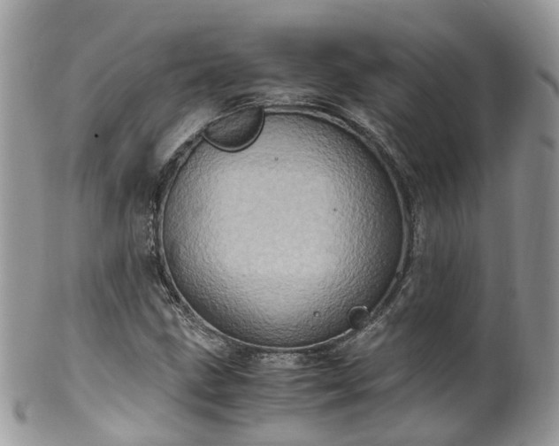 X0000100421211200806131051
