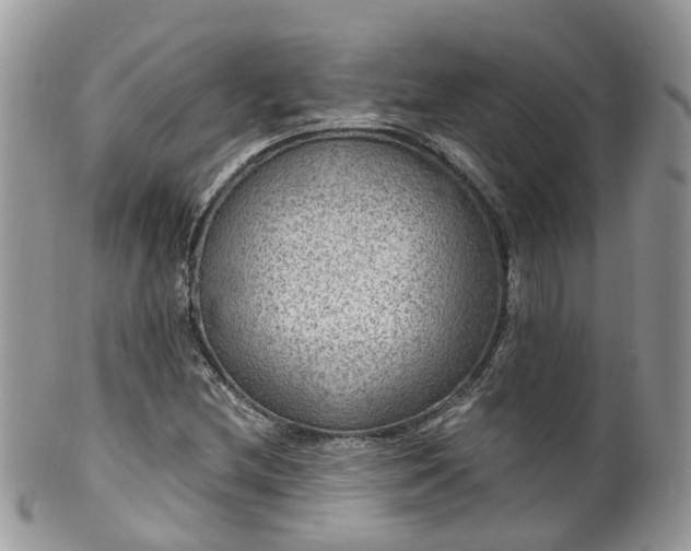 X0000100421212200806131051