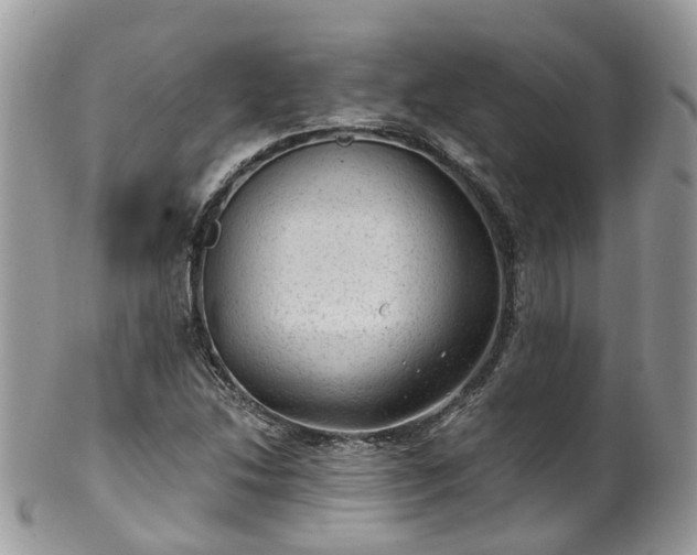 X0000100421214200806131051