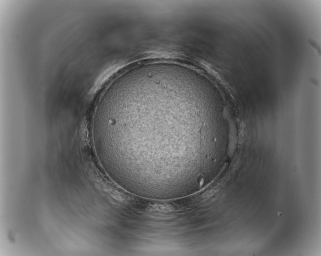 X0000100421215200806131051