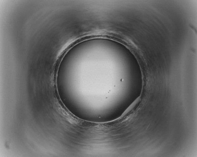 X0000100421216200806131051