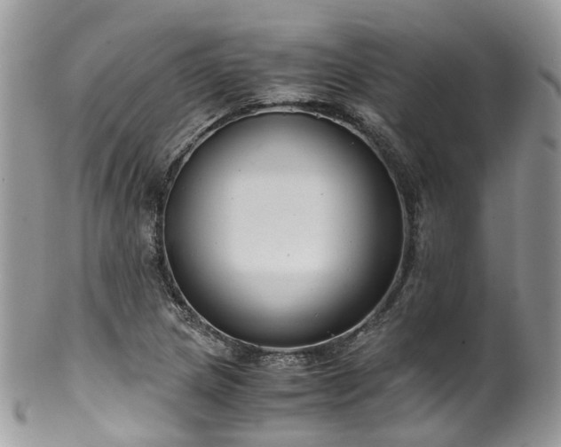 X0000100421217200806131051