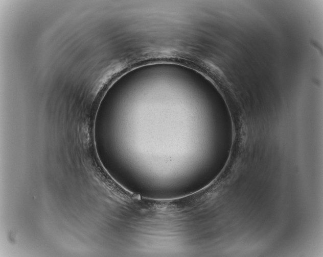 X0000100421218200806131051