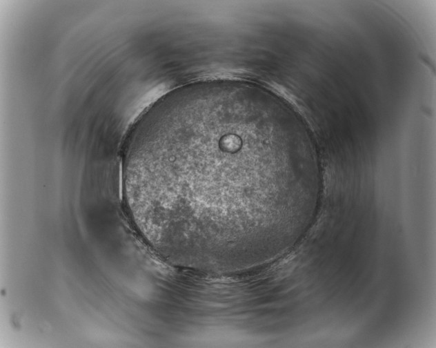 X0000100421219200806131051