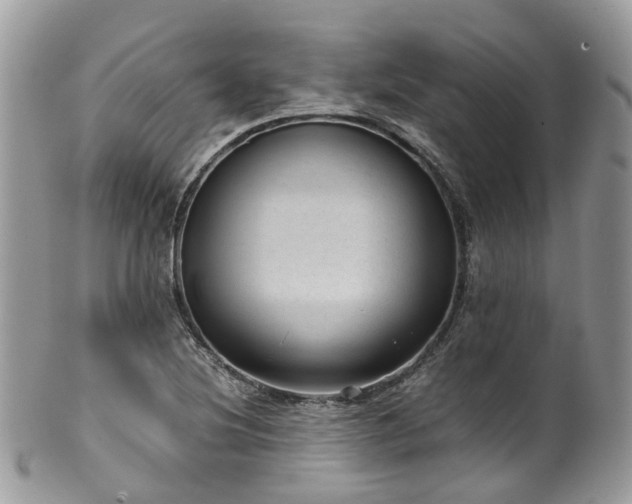 X0000100421220200806131051