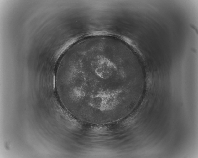 X0000100421221200806131051