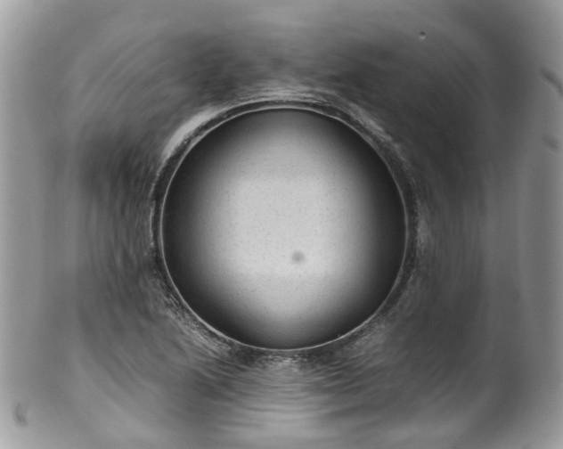 X0000100421222200806131051