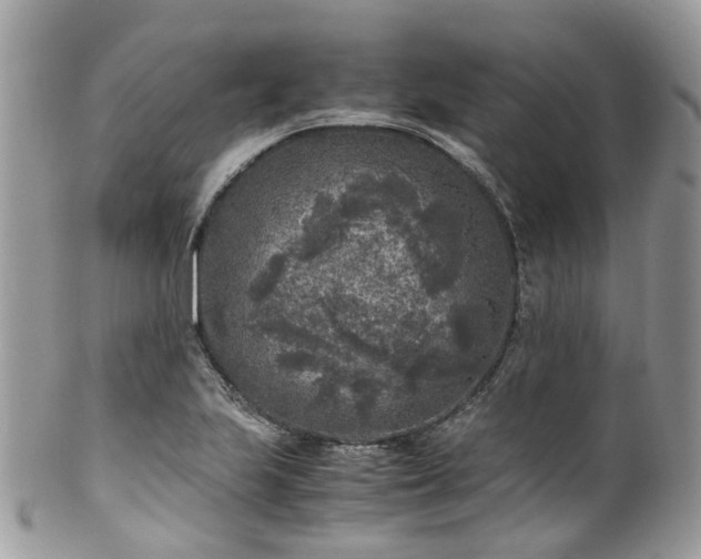 X0000100421223200806131051