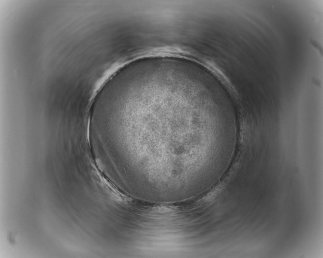 X0000100421224200806131051