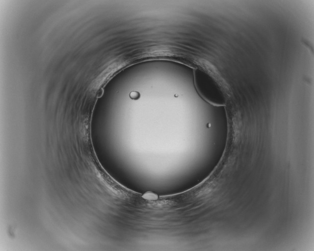 X0000100421225200806131051