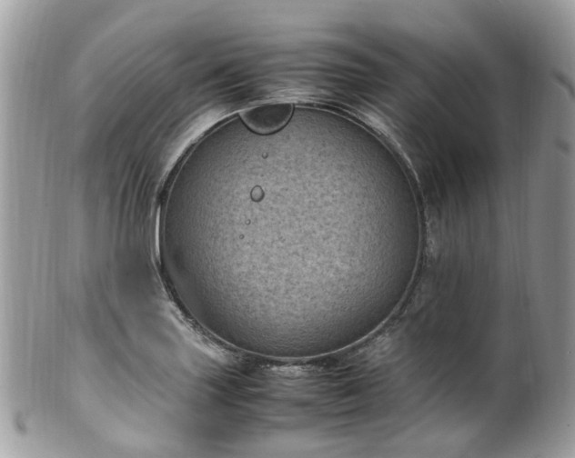X0000100421227200806131051
