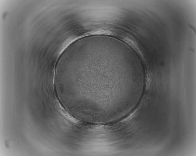 X0000100421228200806131051