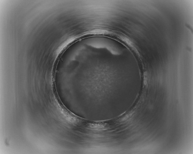 X0000100421229200806131051