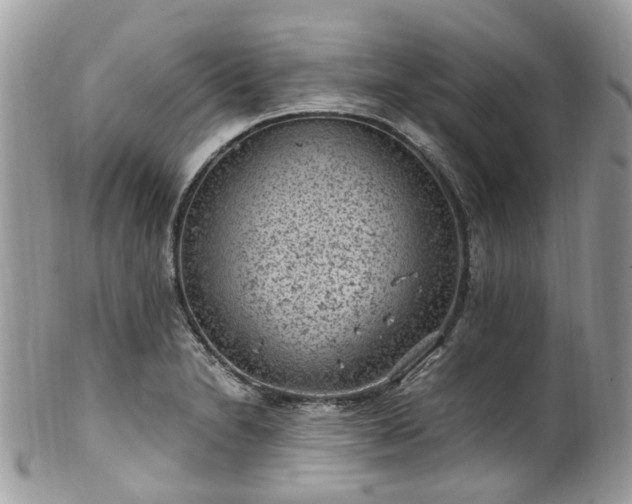 X0000100421230200806131051